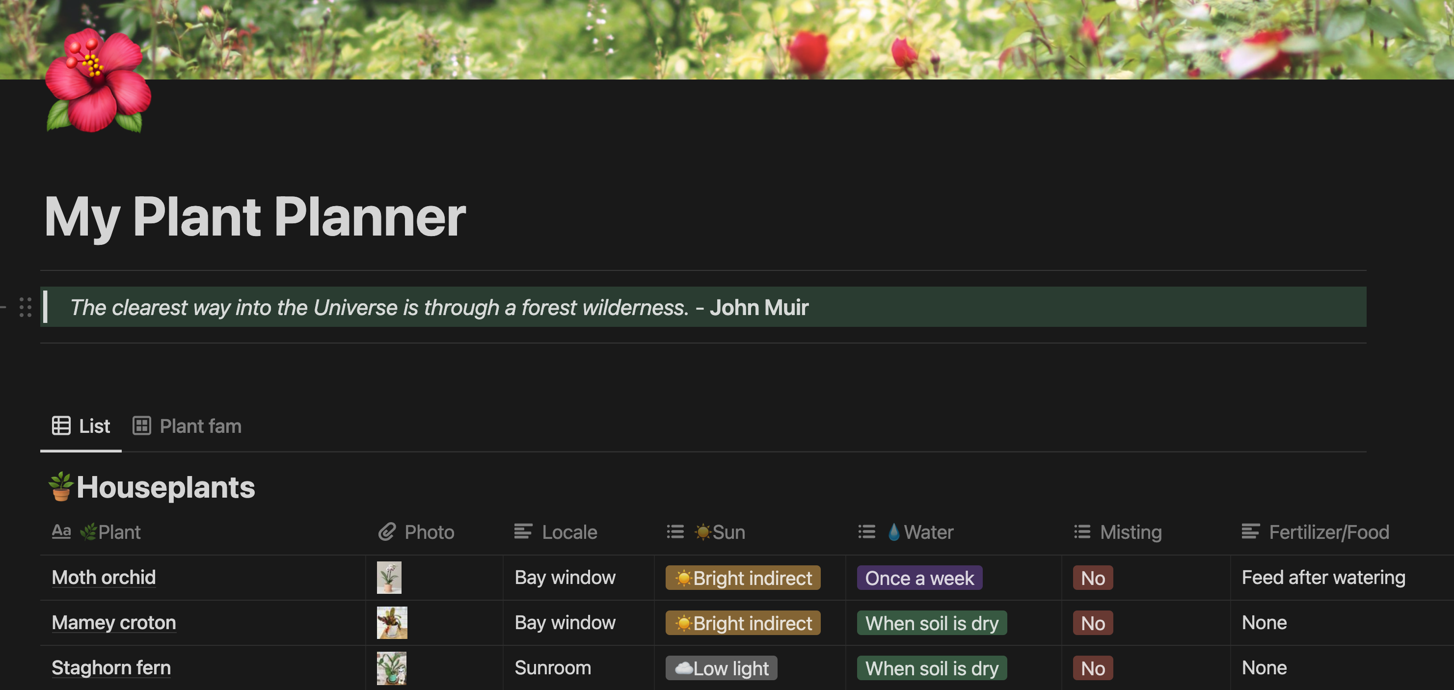 My Plant Planner A Notion Plant Manager Template