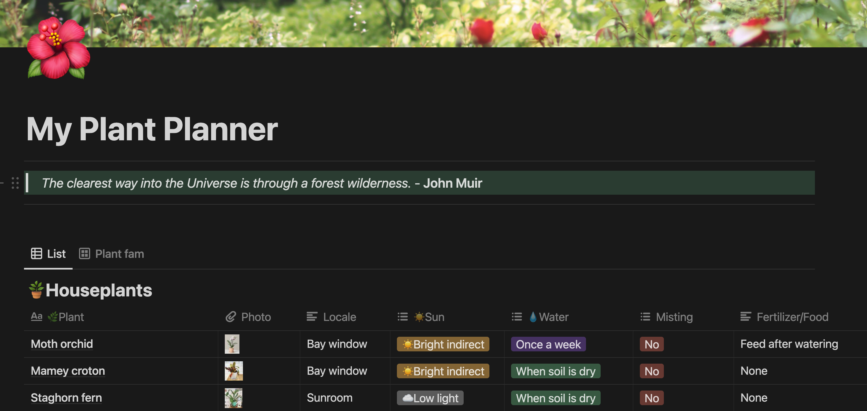 My Plant Planner A Notion Plant Manager Template Nick Lafferty