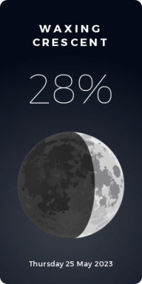 Moon Phase Notion Widget Example