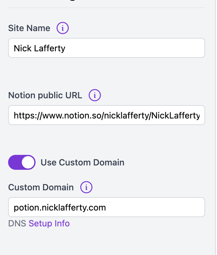 Potion DNS Info